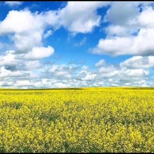 Meet your Posher, Anastasia